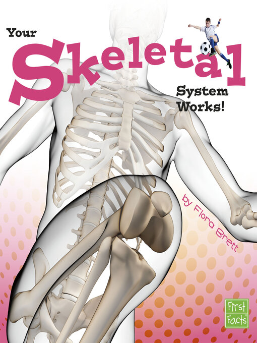 Title details for Your Skeletal System Works! by Flora Brett - Available